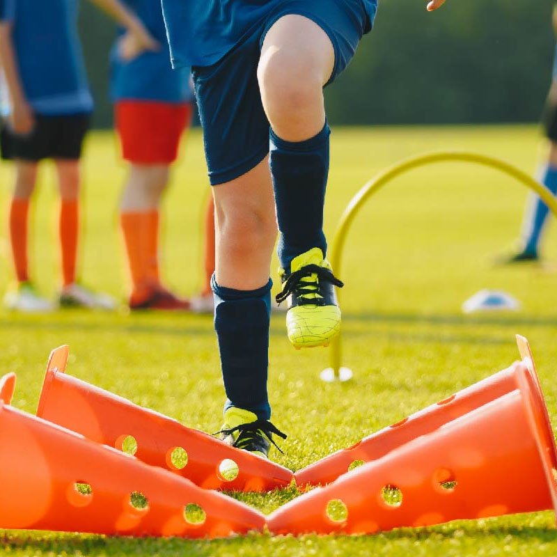 233.jpg